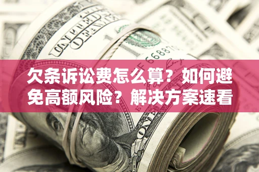 北京欠条诉讼费怎么算？如何避免高额风险？解决方案速看！