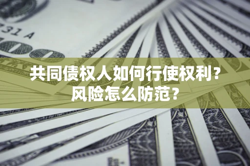 北京共同债权人如何行使权利？风险怎么防范？