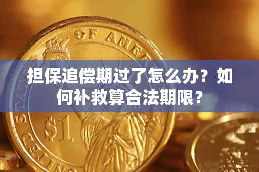 北京担保追偿期过了怎么办？如何补救算合法期限？